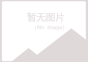 庆阳西峰紫山化学有限公司